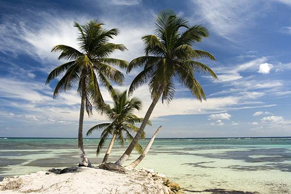 An der Costa Maya können Sie am Strand mit Palmen die Mexikanische Riviera entdecken. 